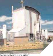Commercial wood burning Generating Plant02