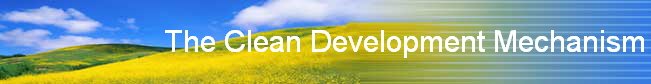 The Clean Development Mechanism